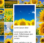 flash_demo_images_flash_2