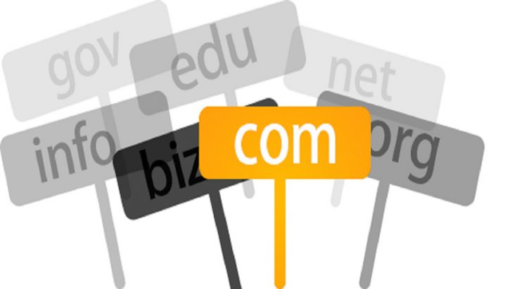 What is a Domain Name