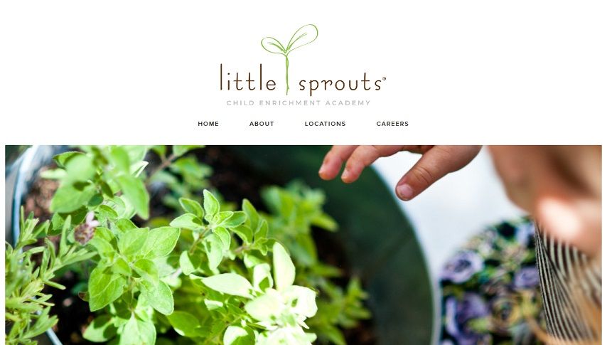 15 Best School Website Designs
