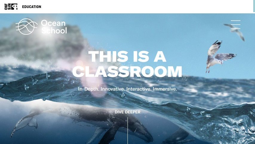 Micro-interactions at ocean school