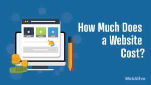 website cost
