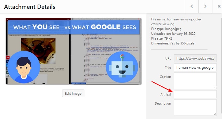add image alt text in wordpress editor