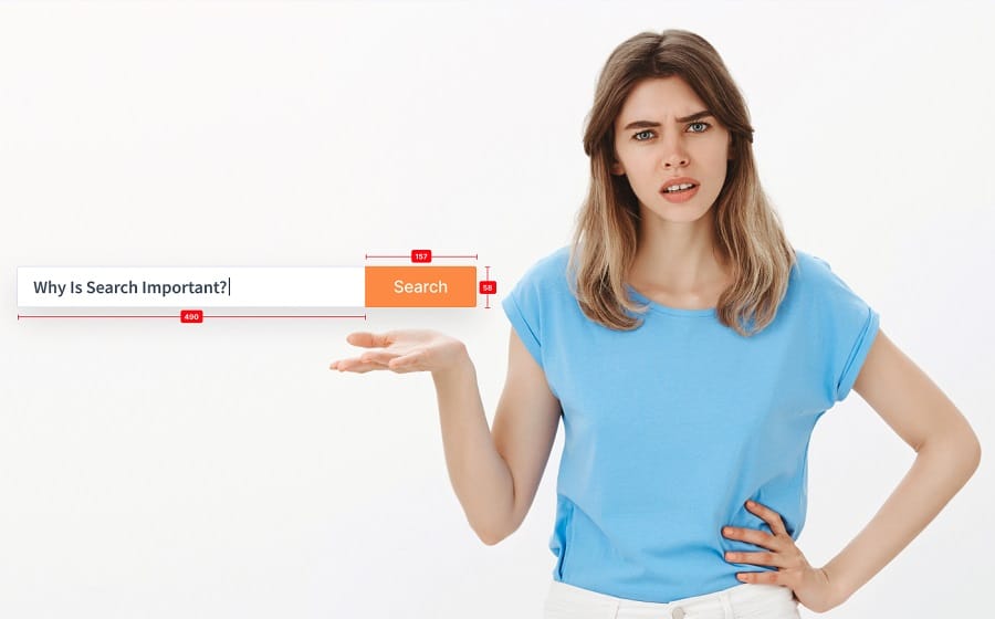 Why Search bar is important