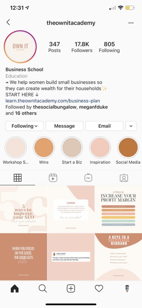 theownitacademy business Instagram account image