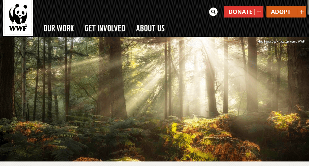 World Wildlife Fund