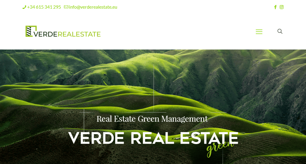 Verde Real State design real estate website
