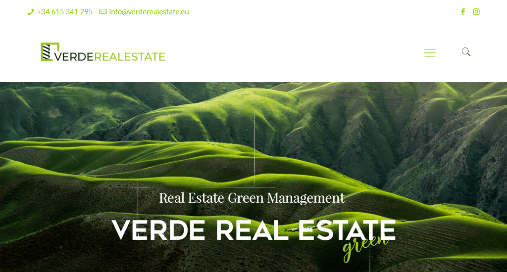 Verde Real State design real estate website