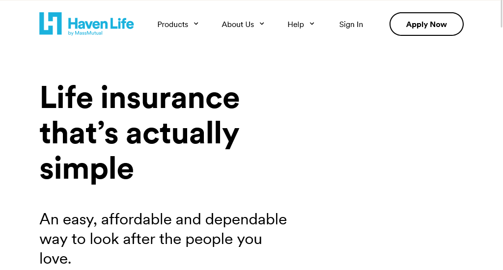 Haven Life Best insurance agency websites