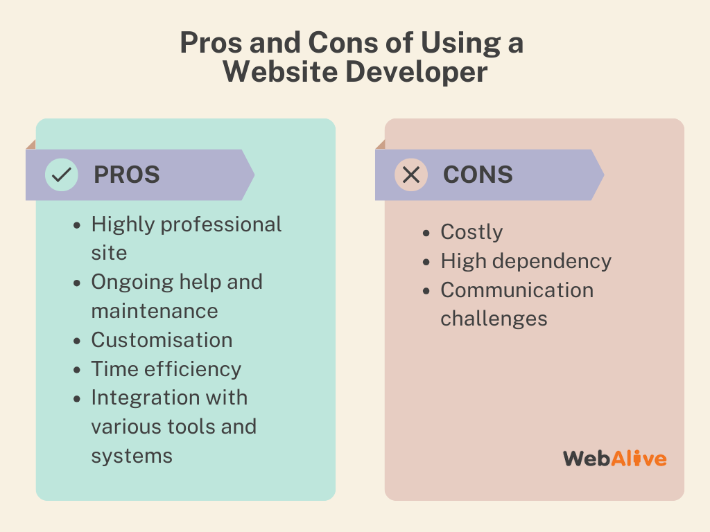 Pros and Cons of Using a Website Developer