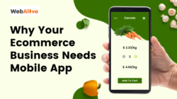 7 Reasons Why Your Ecommerce Business Needs Mobile App