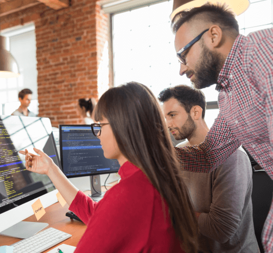 Custom Software Development Services | WebAlive